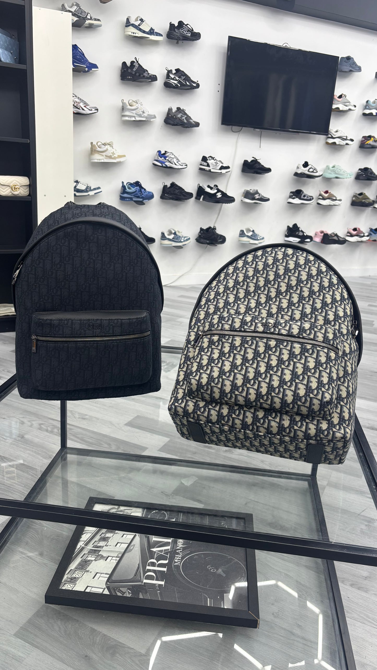 Dior backpack