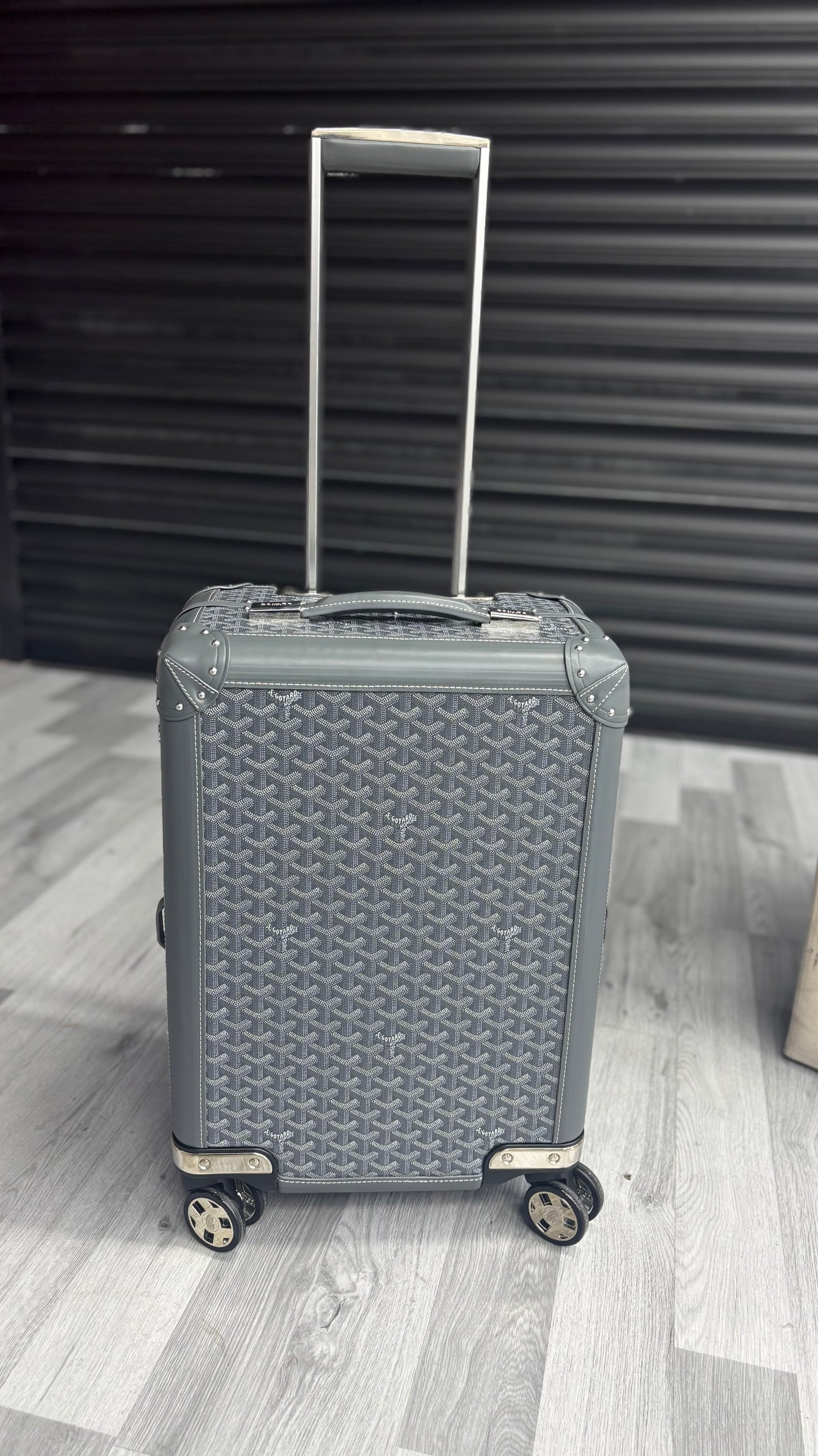 Goyard Bourget PM Suitcase