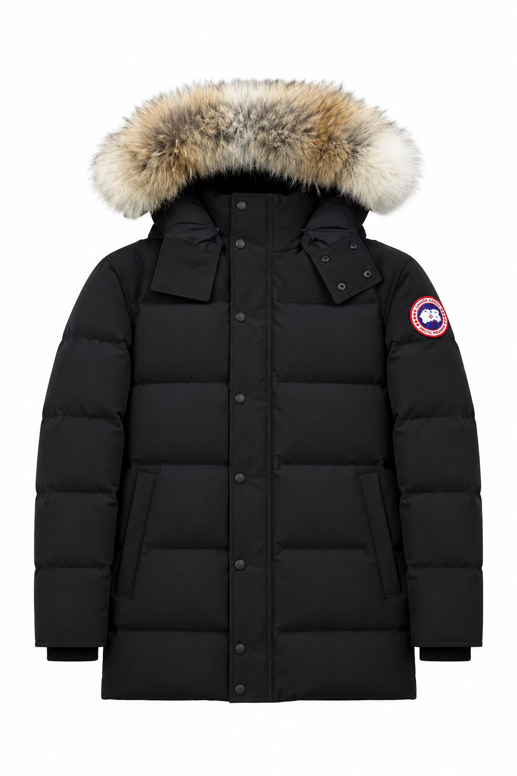Wyndham parka Canada goose black